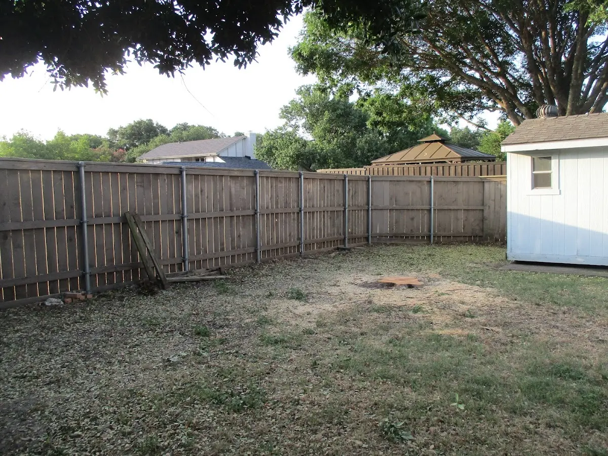 Cleared yard after professional tree removal in Burlington Junction